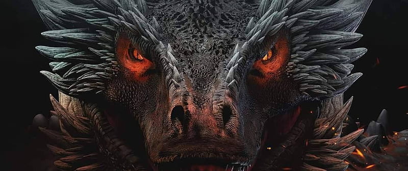 سیستم اژدهایی من (My Dragon System)
